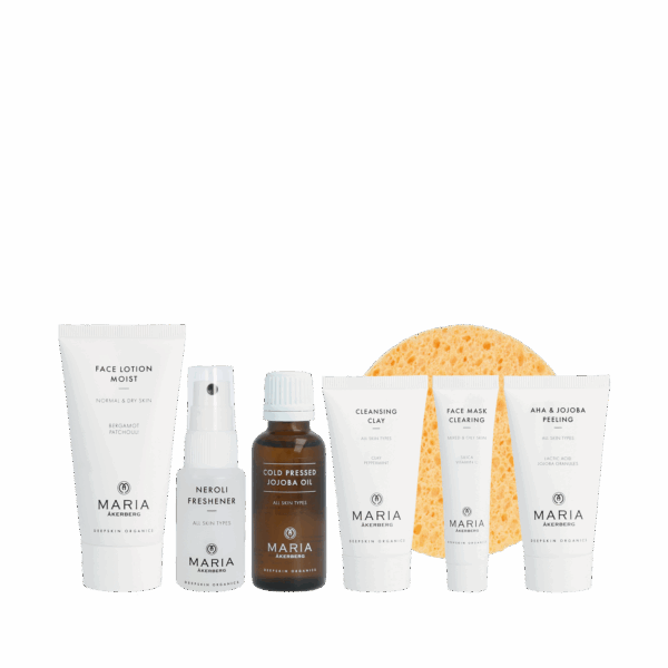 beauty starter set for teens